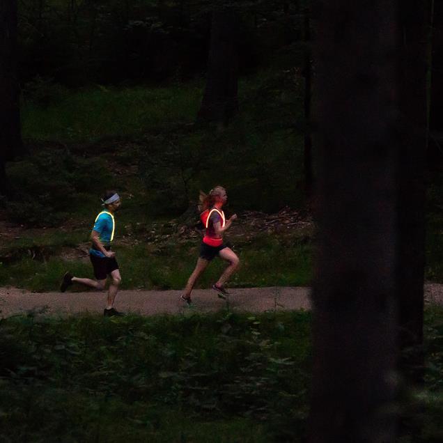 EquiRay Heavy Duty - Image 2